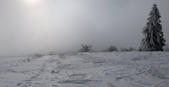 Goldene Regel, Motto & Versprechen